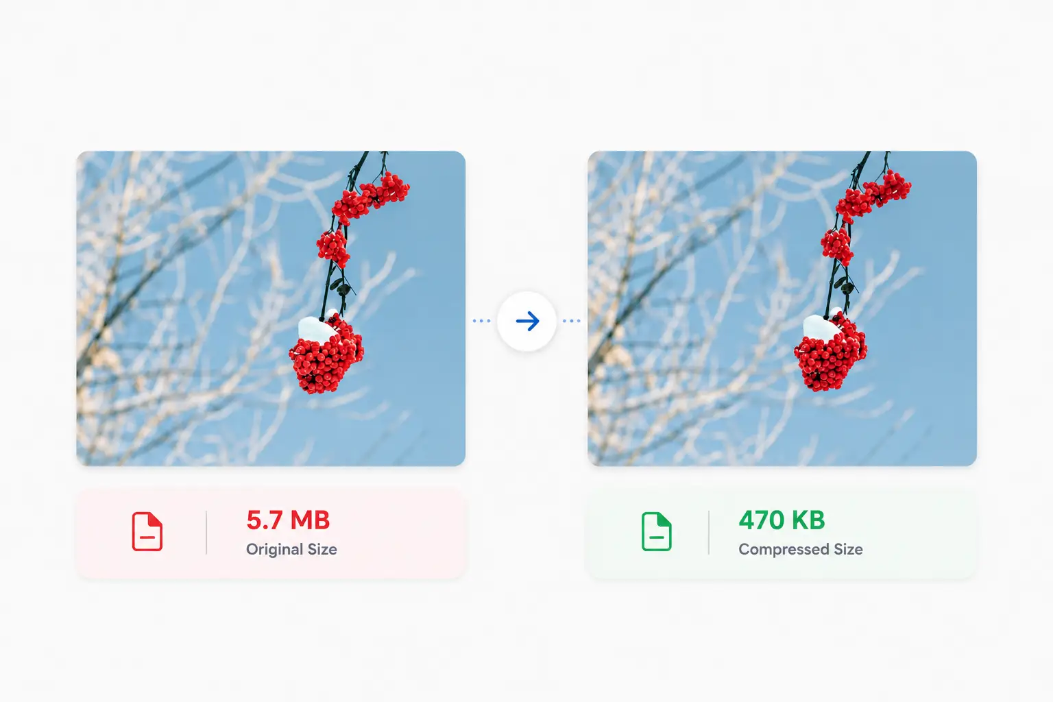 Two identical photos, one at 4.2 MB and the same one at 80 percent quality at 380 KB